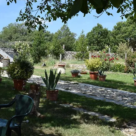 Фермерский дом Agriturismo Su Pinnettu *