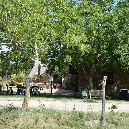 Agriturismo Su Pinnettu Фонни