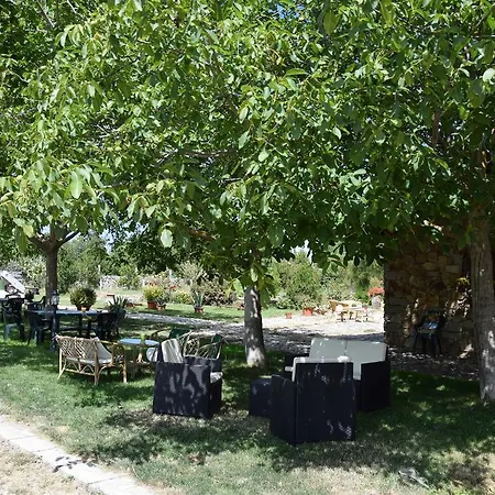 Фермерский дом Agriturismo Su Pinnettu Фонни