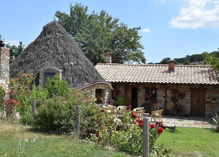 Farm stay Agriturismo Su Pinnettu