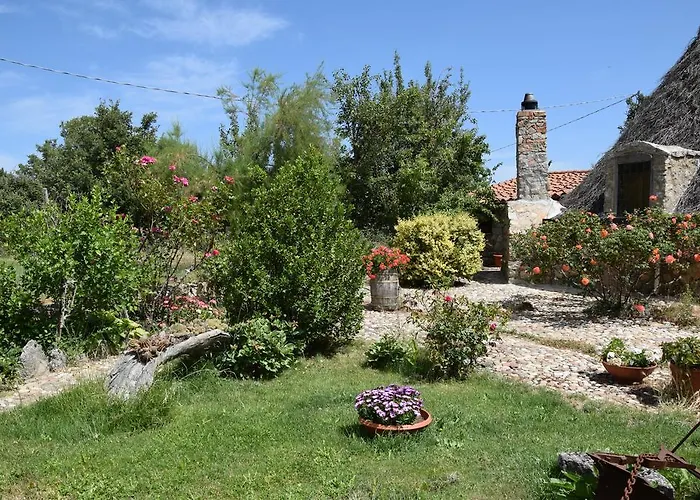 Farm stay Agriturismo Su Pinnettu
